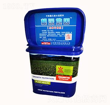 ����ع̣�������(zhu��n)���ͣ�-��L(f��ng)�ʘI(y��)