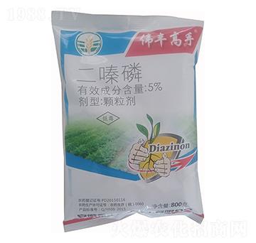 5%����� ���S���� ���S