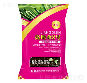 ������������ ���ؽ�2̖(h��o) ��������