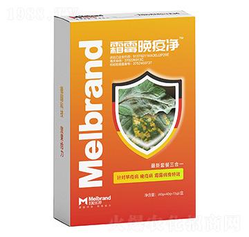 ˪ù���߃� ����(l��)��