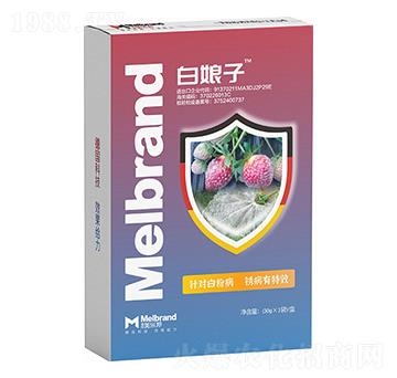 �׷۲����P����Ч ������ ����(l��)��