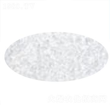 �����V-����ʘI(y��)