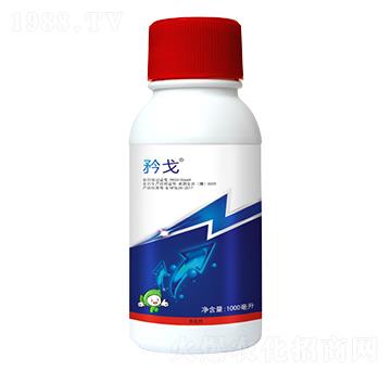 5%���S����-���-�S�՘�(l��)