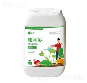 ΢������� ������ ��������