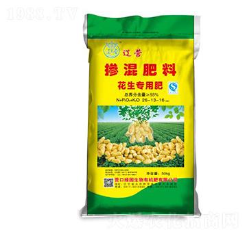 �������Ó������26-13-16-�G�@