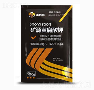 1000g�VԴ�S�����-�S�Ɓ�-����������