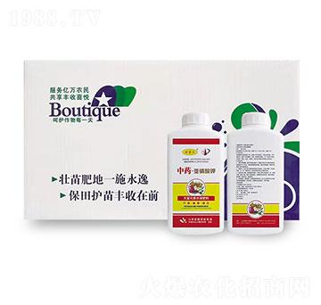 ��ˎ���������-�W�����F