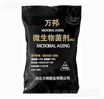 �f(w��n)��΢����������Ƀ|����-�f(w��n)��