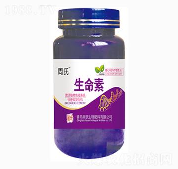 ������-�����r��