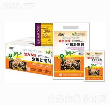 ������S�������焩-�����r(n��ng)��