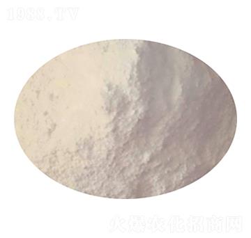 ���ʷ۠���Y(ji��)�K�� ؐ���Z�r(n��ng)�I(y��)