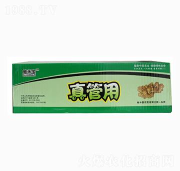 ����ã��䣩-ʩ�̌�