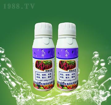 ��������-��ͮ����