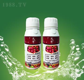 �ѹ�����-��ͮ����