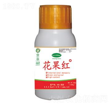 �����t�߹�������ɫ���M(j��n)��-�����t-���A��