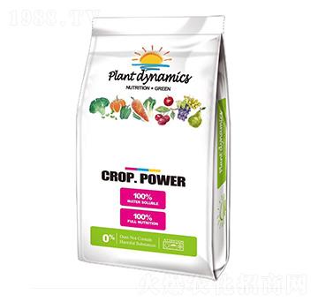 �������ּt-���A��