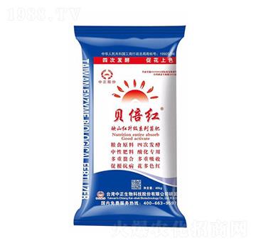 ӳɽ�t����(j��)ϵ�о���-ؐ���t-���A��