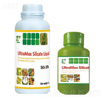 �n���茚-���A��