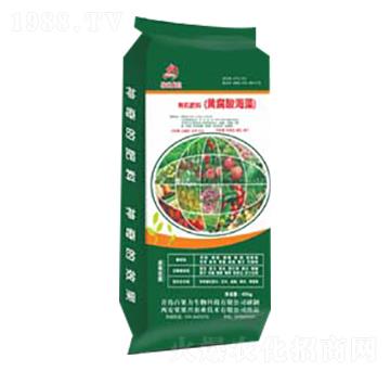 �S���ả���ЙC��-�����d�r�I(y��)