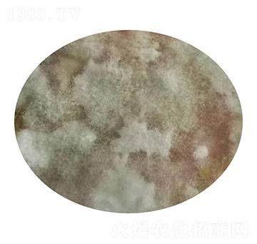 ����ľù-��ʥԴ