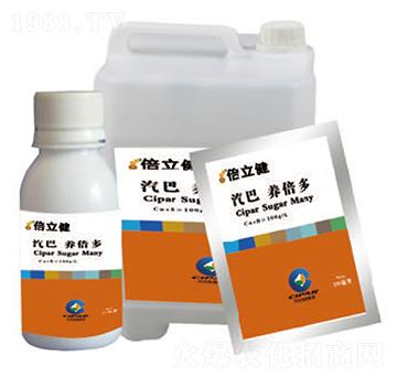 �B(y��ng)����-������-�����r�I(y��)