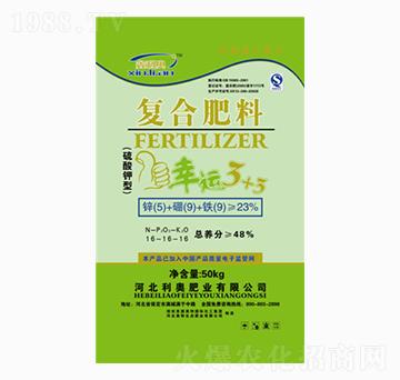 ������͏�(f��)�Ϸ���16-