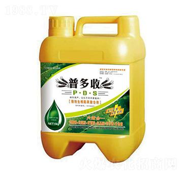 �����������Һ-�ն���