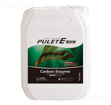 �՘���-�ն���