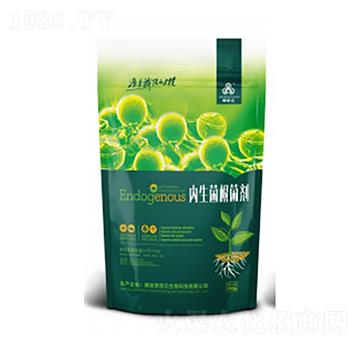 ������������-�侩Ԫ