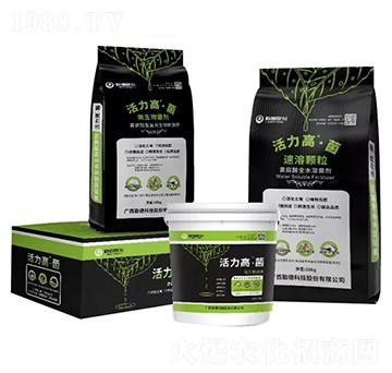 �S�����͏�(f��)������̼���-�����ߡ���-�ڵ¿Ƽ�