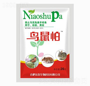 �B����-�����r(n��ng)�I(y��)