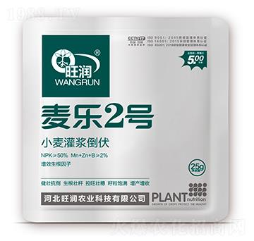 С�����{����-����2̖(h��o)