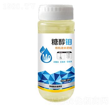 �ЙCҺ�w����-�Ǵ��f-