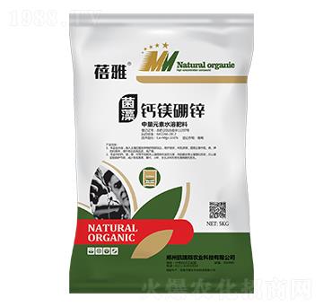 �����}�V���\-����-�P