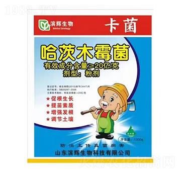 ����ľù��-����-�I�x����