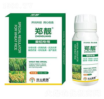 ��������-���n-����ֲ��