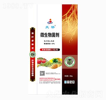 ΢�������-���-����ʘI(y��)