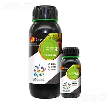 ʮ��Ԫ��-�T���S����