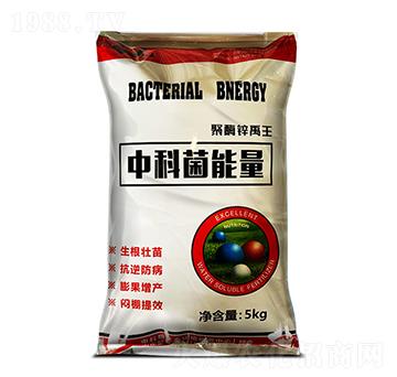 �пƾ������ۄ�-��ø�\