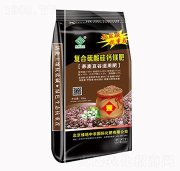 �ͺ�������}�V��-�G�����r