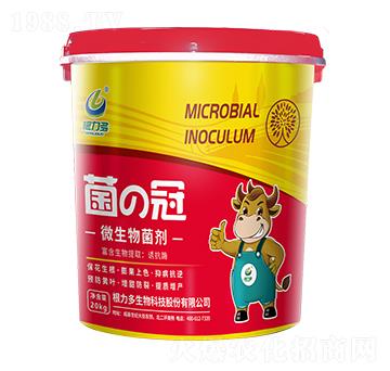 ΢�������-����-����