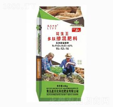 ���ē������15-12-16-������-�{���S̩