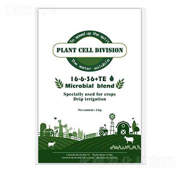 ʥ������ˮ�ܷ�16-6-36+TE-ʥ��