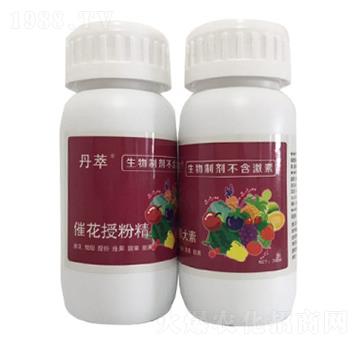 �߻��ڷ۾�-�r����