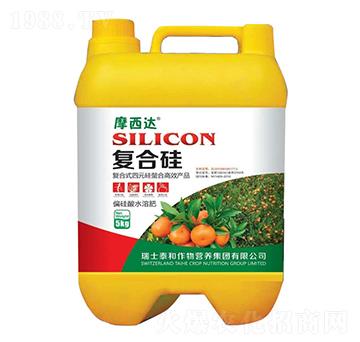 �ͺϹ�-Ħ���_-������r(n��ng)