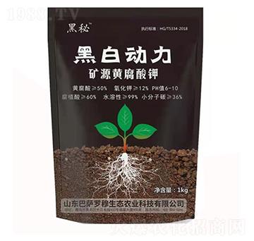 �VԴ�S�����-�ڰׄ�(d��ng)��-���_�_��