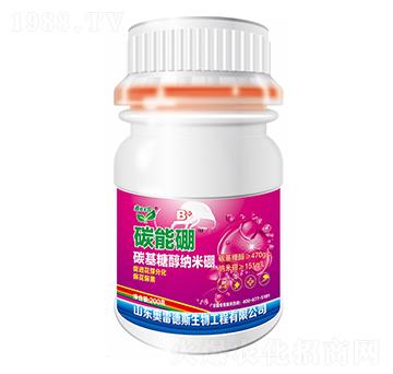 ̼����-�W�׵�˹