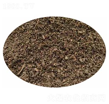 �l(f��)����S-�G퍷ʘI(y��)