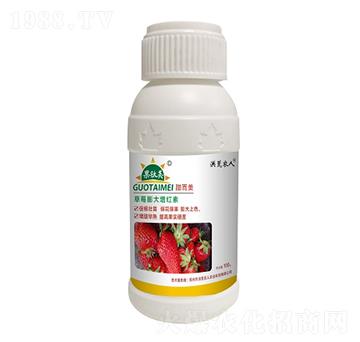 ��ݮ������t��-�����-����r(n��ng)��