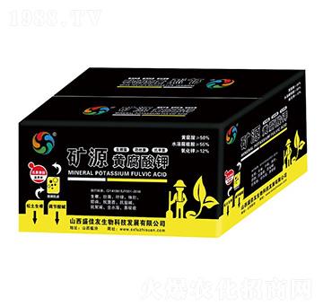 �VԴ�S��������b-ʢ��������